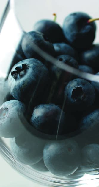 making-blueberry-wine-tips-from-the-pros image