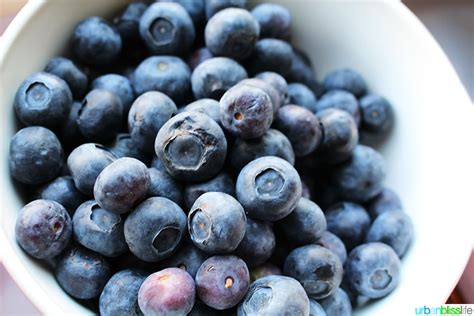microwave-blueberry-crisp-recipe-urban-bliss-life image