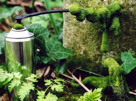 diy-how-to-make-your-own-green-moss-graffiti image