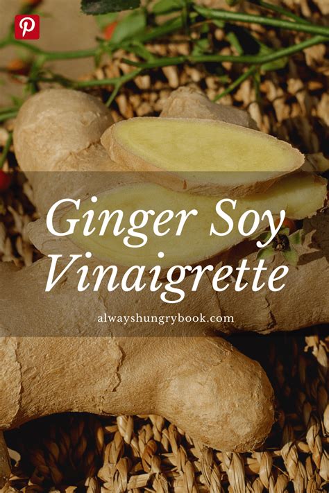 ginger-soy-vinaigrette-dr-david-ludwig-reveals image