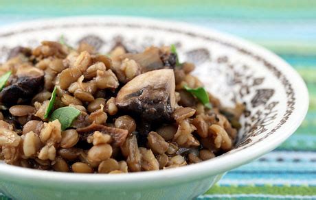 lentils-recipe-vegan-barley-and-lentil-pilaf-with image