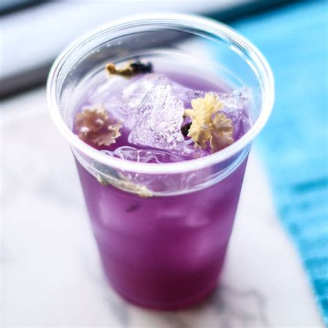 purple-cocktails-and-butterfly-pea-extract-liquorcom image