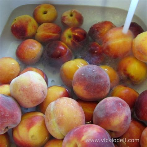 home-canning-recipe-spiced-peach-jam-vicki-odell image