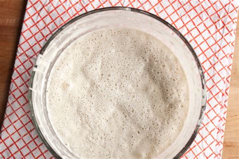 easy-sourdough-starter-recipe-from-scratch-kitchn image