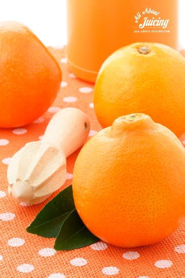 citrus-juice-recipes-orange-juice-lemonade-all-about image