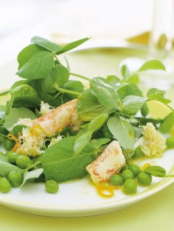 recipe-crab-and-pea-sprout-salad-lcbo image