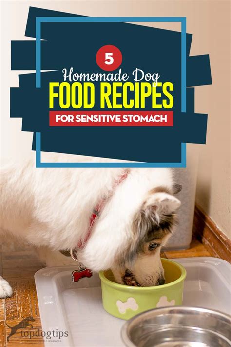 5-homemade-dog-food-for-sensitive-stomach image
