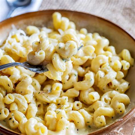 easy-creamy-four-cheese-pasta-sprinkles-and-sprouts image
