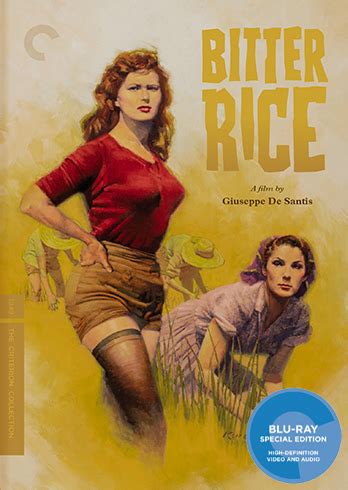 bitter-rice-1949-the-criterion-collection image