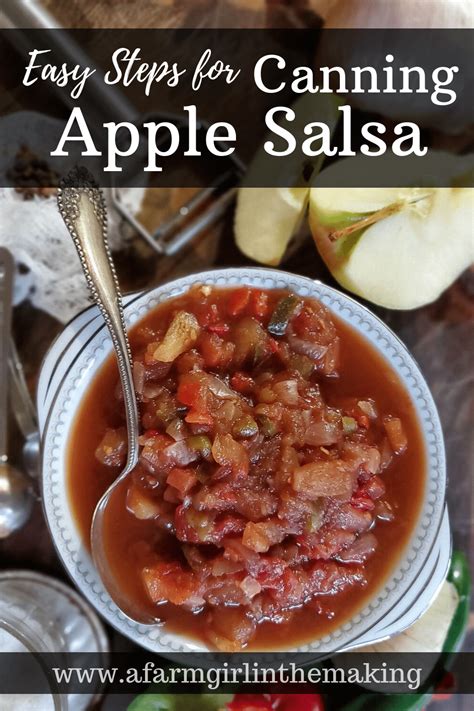 apple-salsa-recipe-with-canning-tips-a-farm-girl-in-the image