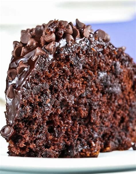 chocolate-chocolate-chip-cake-gonna-want-seconds image