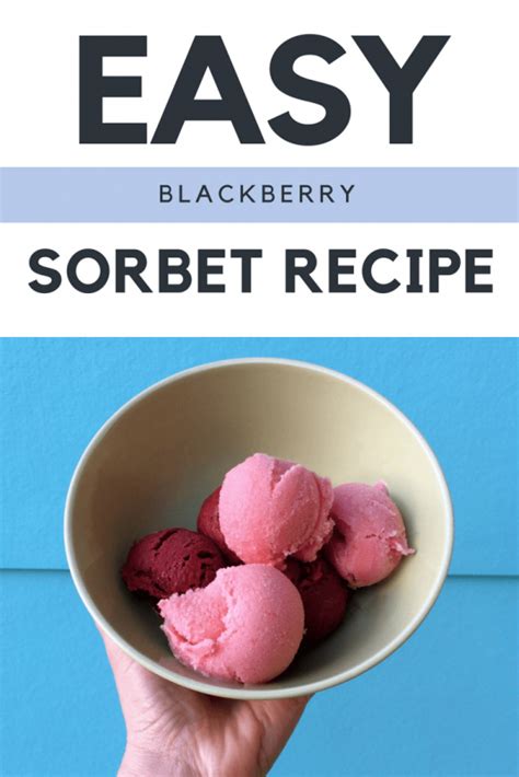 blackberry-sorbet-easy-summer-recipes-pop-shop image