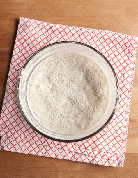 an-absolute-beginners-guide-to-sourdough-starter-and image