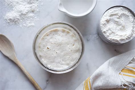 feeding-and-maintaining-your-sourdough-starter-king image