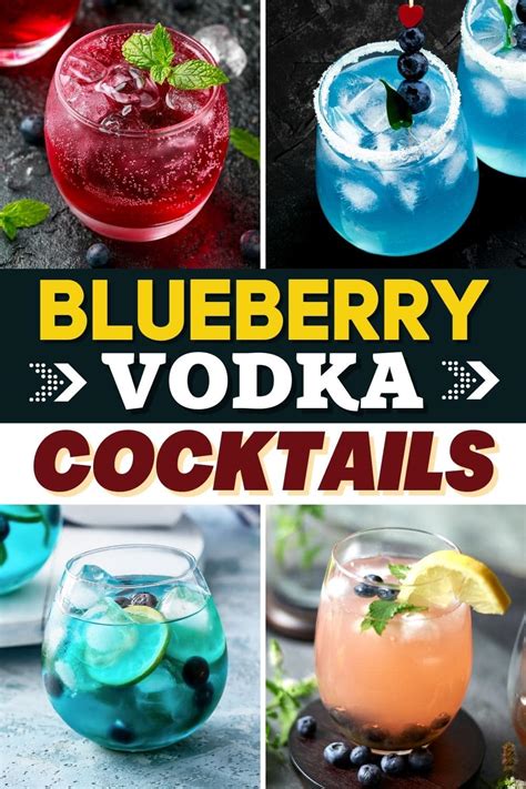 17-best-blueberry-vodka-cocktails-for-summer-insanely-good image