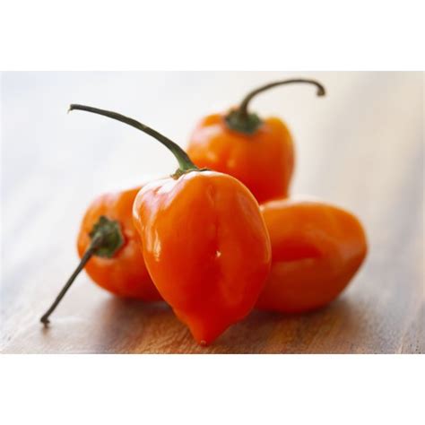 what-are-the-dangers-of-eating-a-habanero-pepper image