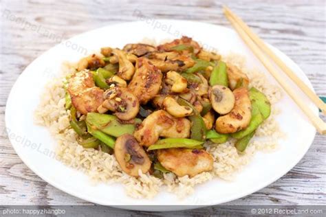 best-ever-chinese-chicken-recipe-recipelandcom image