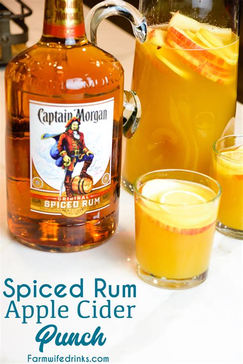 spiced-rum-apple-cider-punch-the-farmwife-drinks image