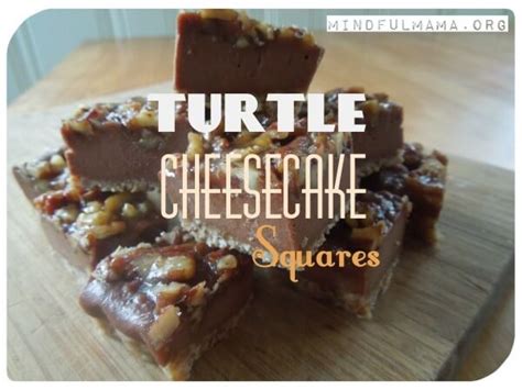 turtle-cheesecake-squares-grain-and-dairy-free image