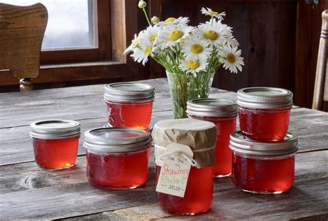 strawberry-rhubarb-jelly-weekend-at-the-cottage image