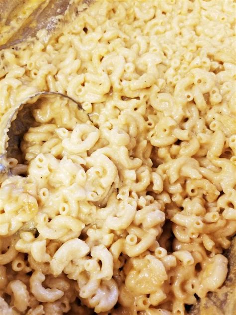 classic-macaroni-and-cheese-usda-healthy-school image
