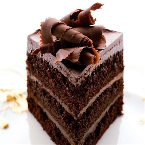 fudgy-chocolate-layer-cake-recipe-andrew-shotts image