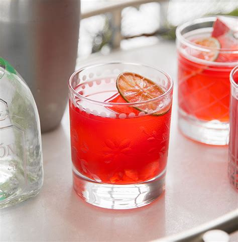 pomegranate-margarita-cocktail image