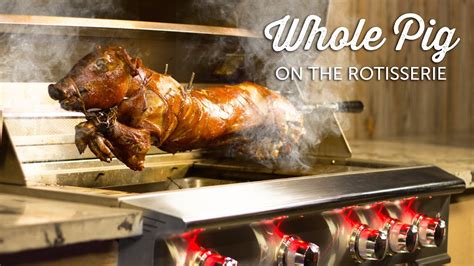 how-to-roast-a-whole-pig-on-the-blaze-professional image