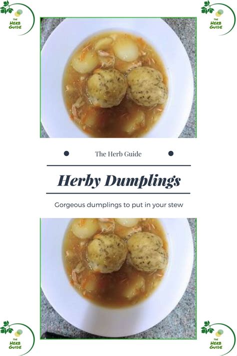herb-dumplings image