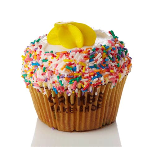best-cupcakes-in-the-us-food-wine image