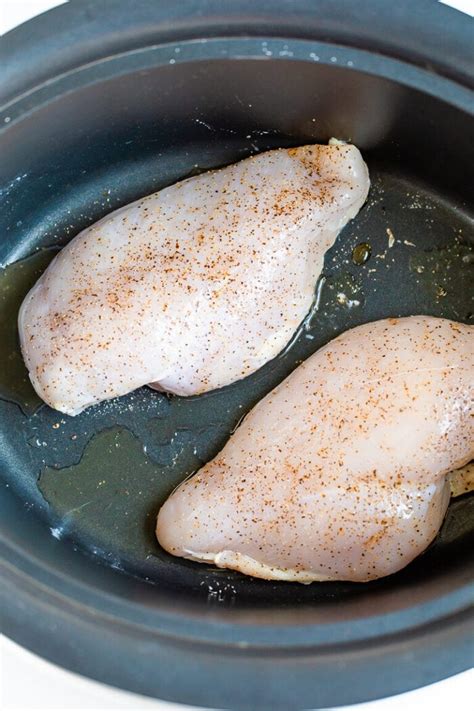 slow-cooker-shredded-chicken-eating-bird-food image