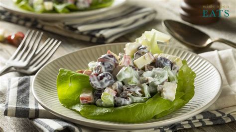 chicken-waldorf-salad-wide-open-eats image