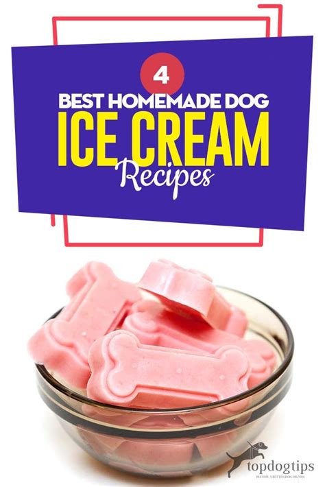 4-best-homemade-dog-ice-cream-recipes-to-cool-off image