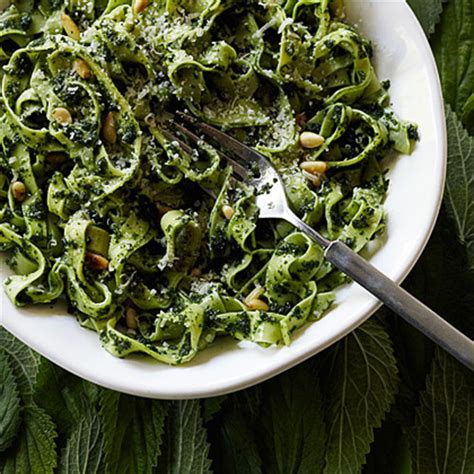 tagliatelle-with-nettle-and-pine-nut-sauce image