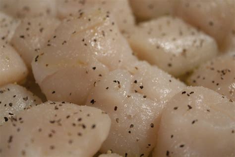 how-to-cook-scallops-in-the-oven-wild-alaskan image