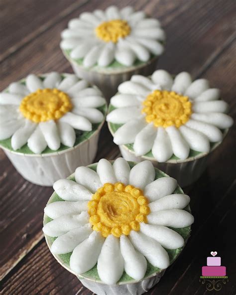 how-to-make-buttercream-daisy-cupcakes-decorated image
