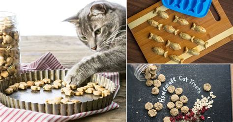 43-diy-homemade-cat-treat-recipes-delicious image