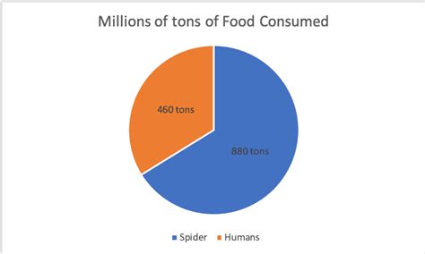 what-do-spiders-eat-the-complete-guide-school-of image