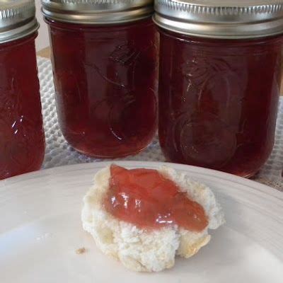 rhubarb-jam-using-freshtech-jam-jelly-maker image
