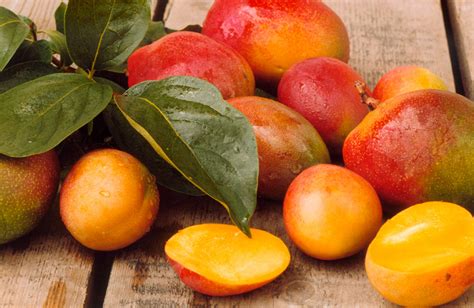 african-mango-review-11-crucial-facts-to-know-jan image