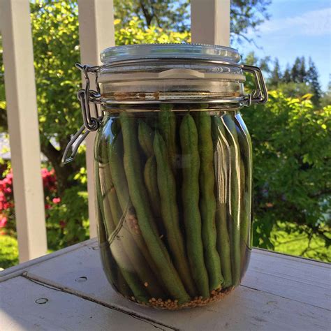 dilly-beans-pickled-green-beans-the-daring-gourmet image
