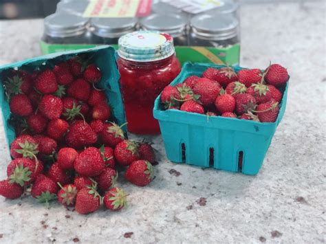freezer-strawberry-jam-sugar-sunshine-and-flowers image