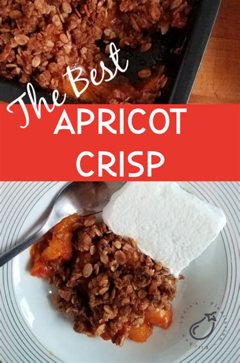 best-apricot-crisp-lydias-flexitarian-kitchen image