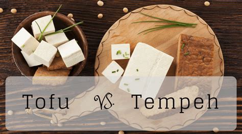 tofu-vs-tempeh-whats-the-difference-and-which-is image