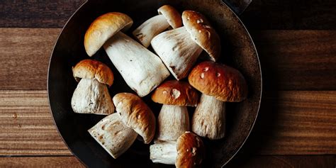 cep-recipes-great-british-chefs image