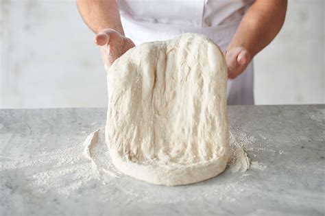 basic-roman-style-pizza-dough-pizza-dough image