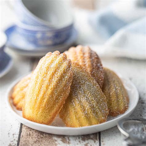 perfect-madeleine-cookies-so-buttery-delicate-baking image