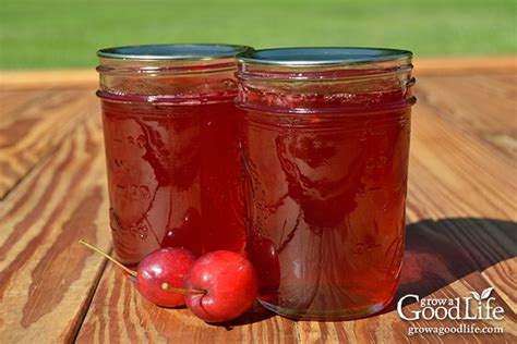 homemade-crabapple-jelly-with-no-added-pectin image