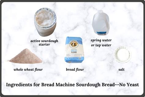 make-sourdough-bread-without-yeast-using-a-bread image