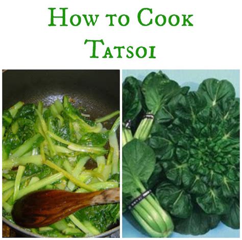 how-to-cook-tatsoi-momtrends image